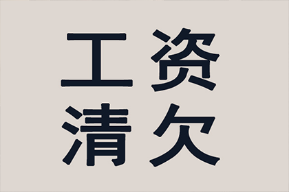 无为清债公司